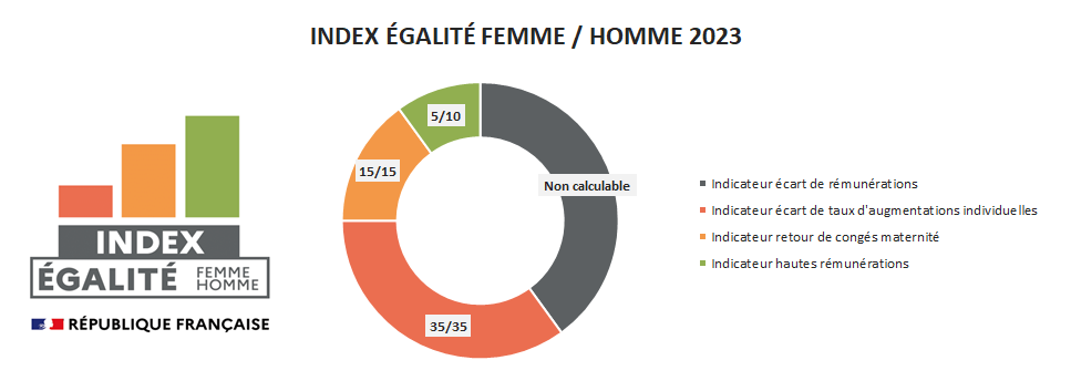 Index egalite HF 2023